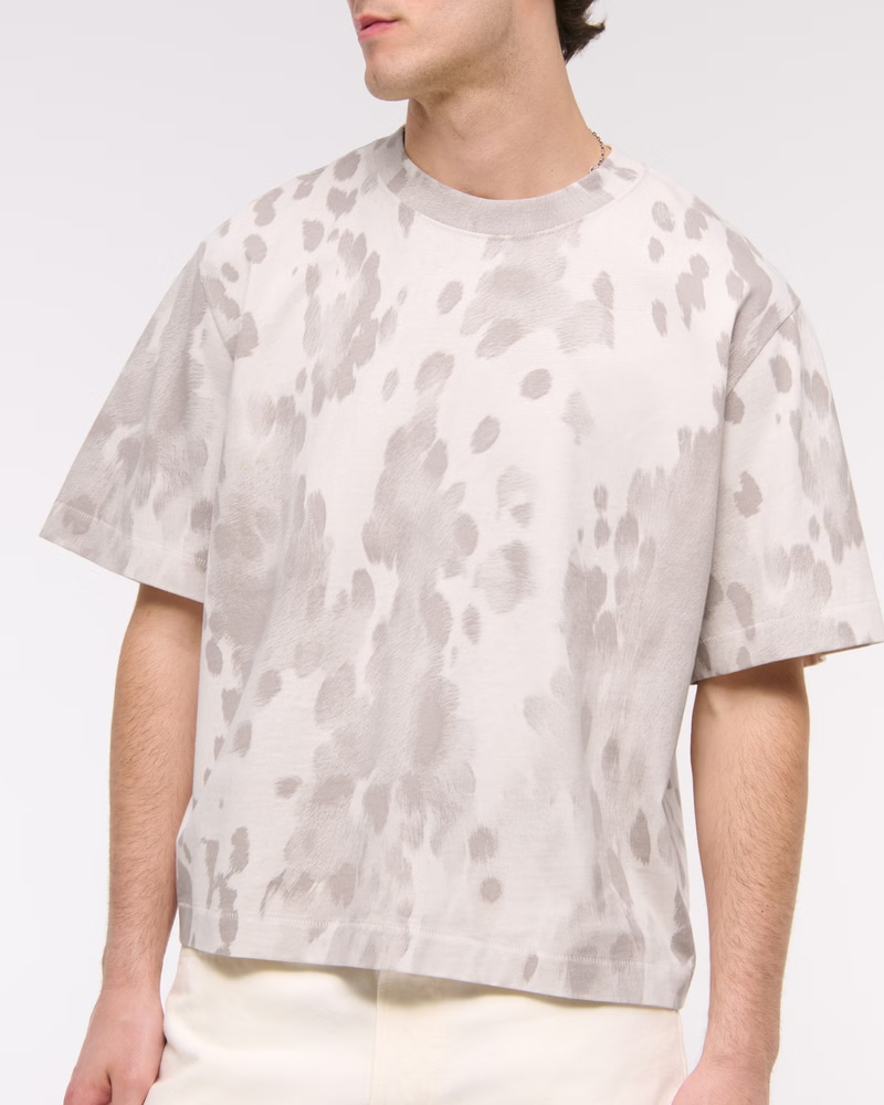Pasted Image