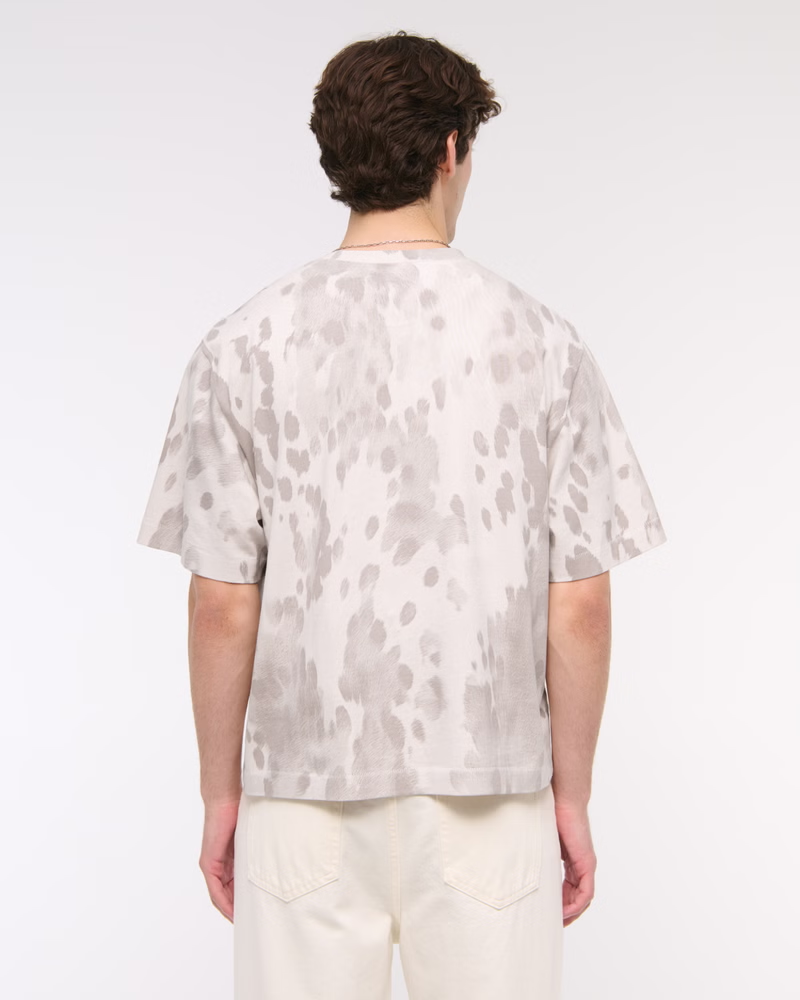Pasted Image