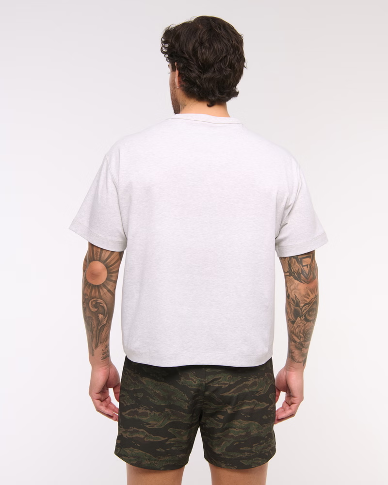 Pasted Image