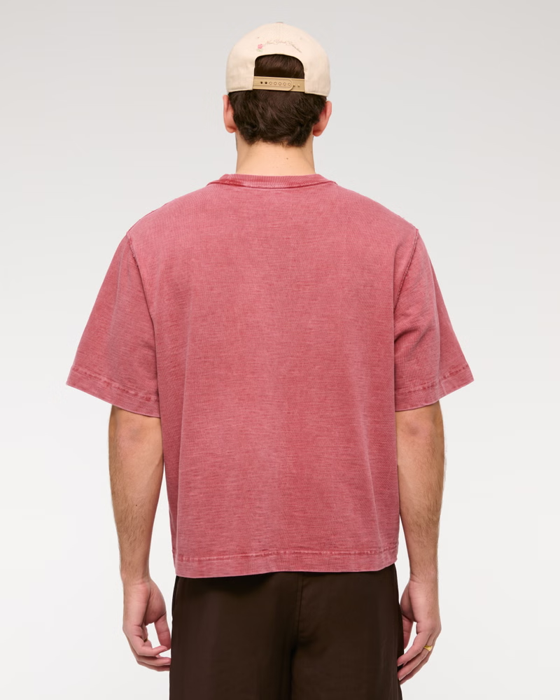 Pasted Image