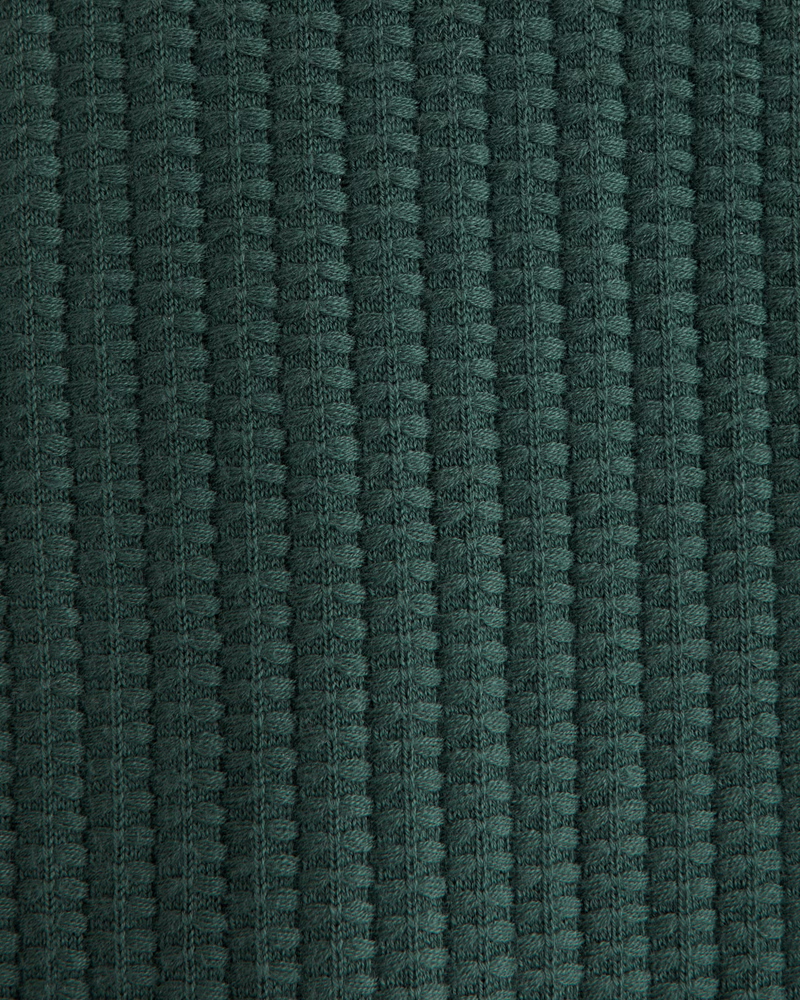 Pasted Image