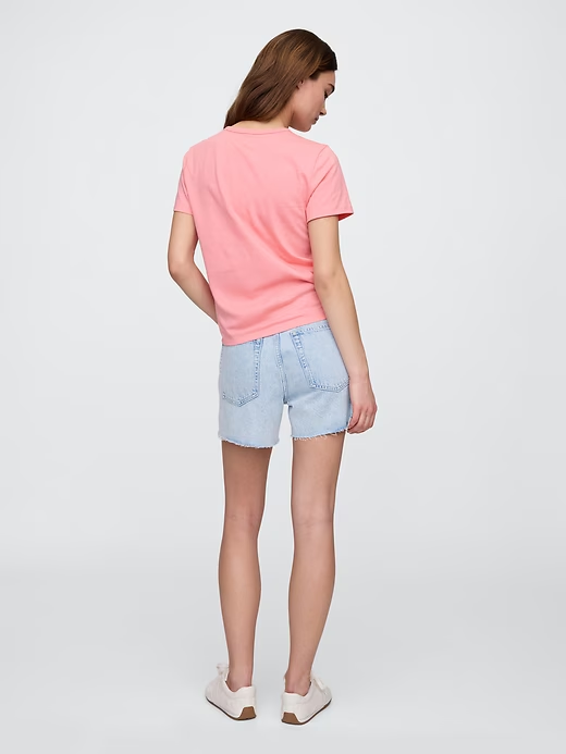 Pasted Image